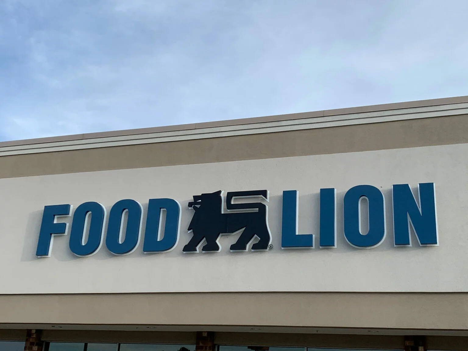 Food Lion logo sign on the outside of a store