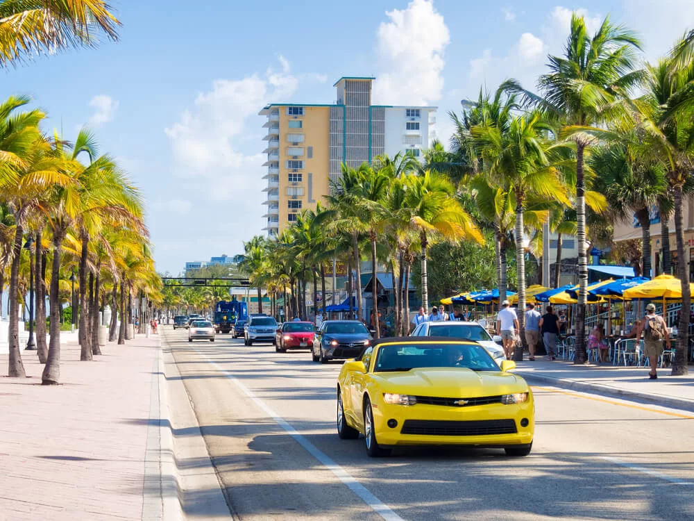 A Camaro driving down street in Florida with palm trees in the background.