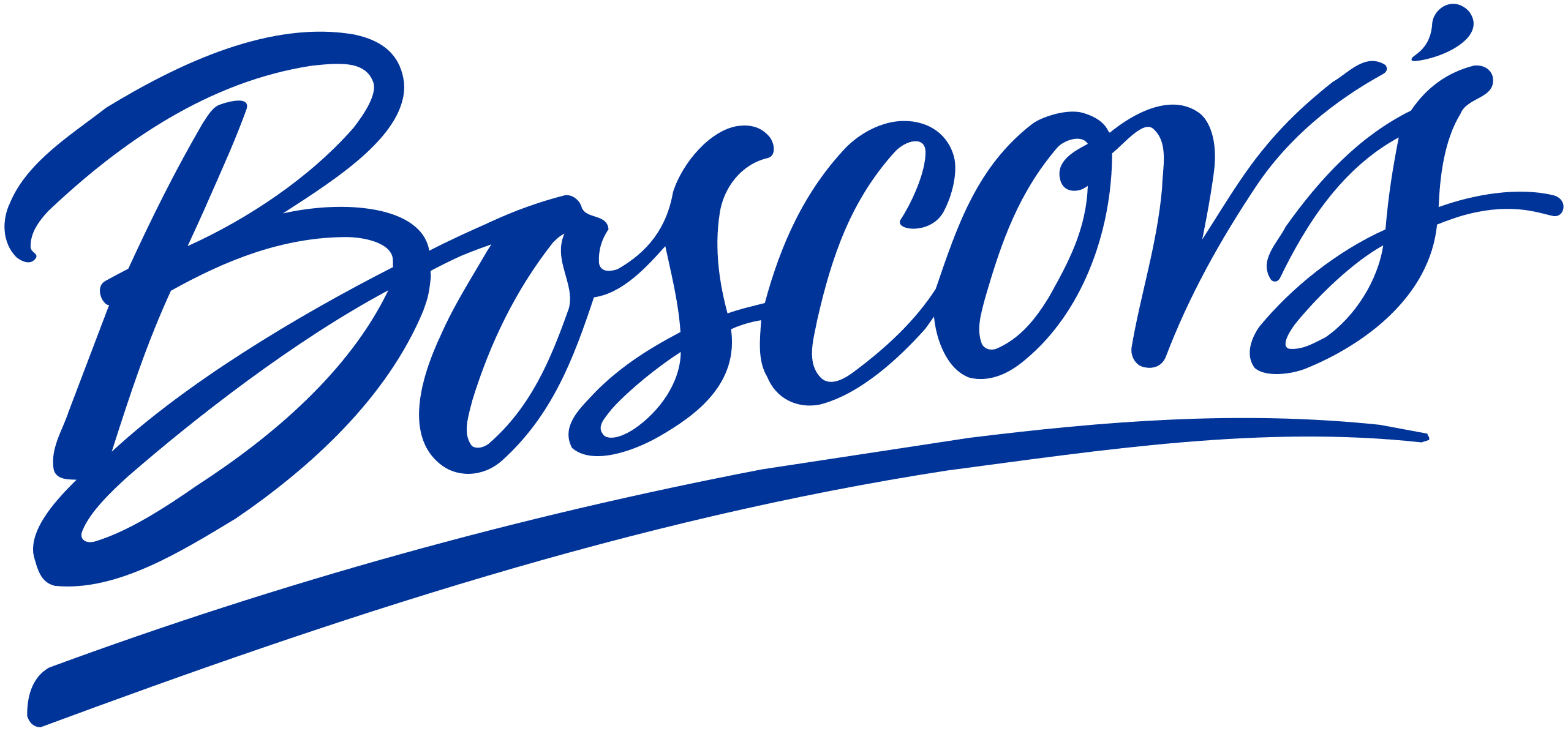 Logotipo de Boscovs