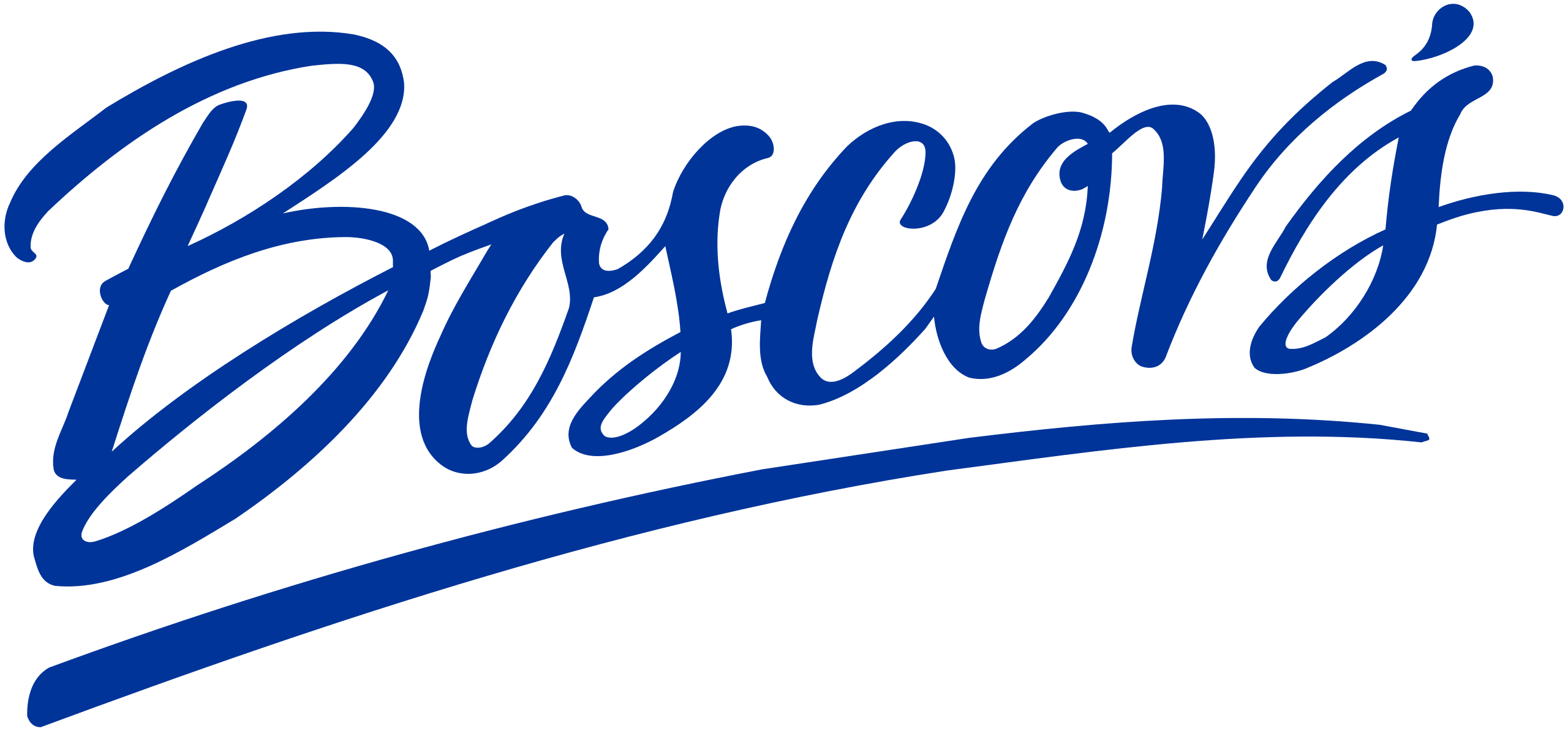 Boscovs Logosu