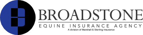 Broadstone Equine Insurance logo