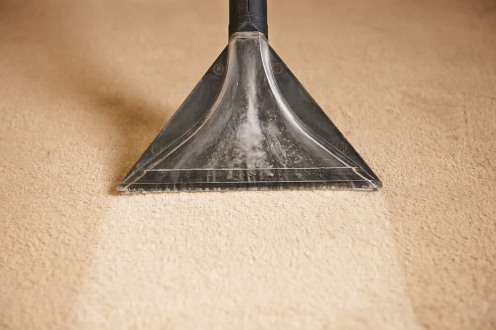 Carpet cleaner moving across the floor, leaving a clean strip of carpet