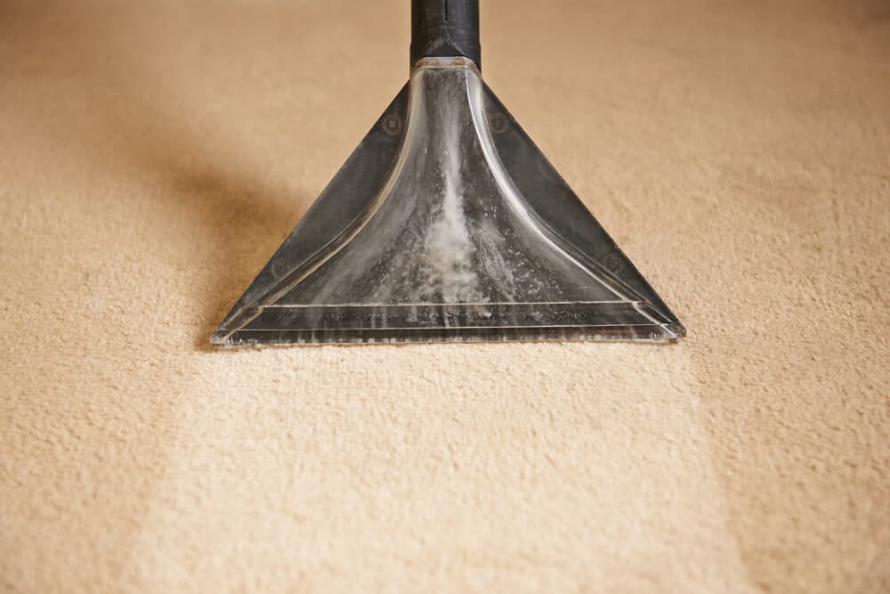 Does Publix Rent Carpet Cleaners In 2022? (Full Guide)