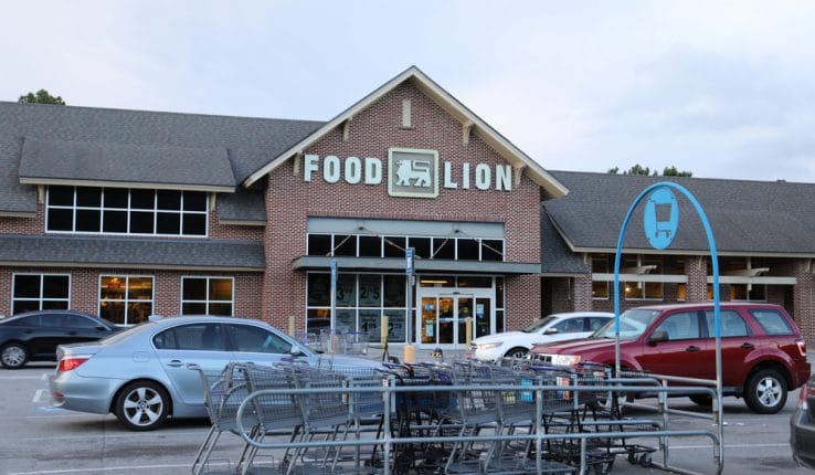 Food Lion Employment Handbook