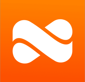 Netspend App Logo