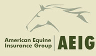 American Equine Insurance Group logo